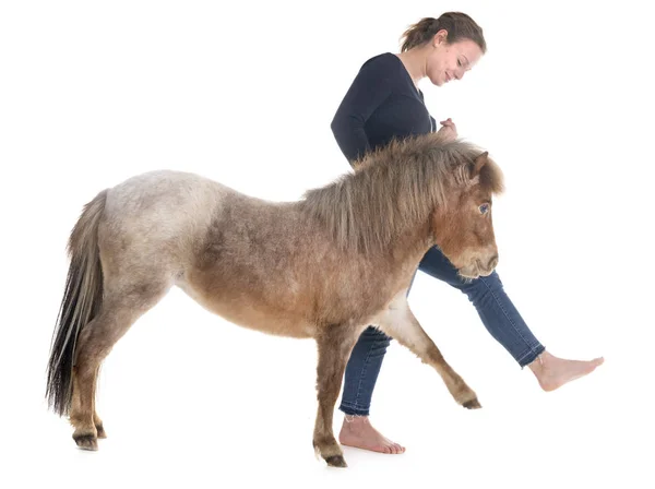 Falabella caballo y niña en miniatura — Foto de Stock