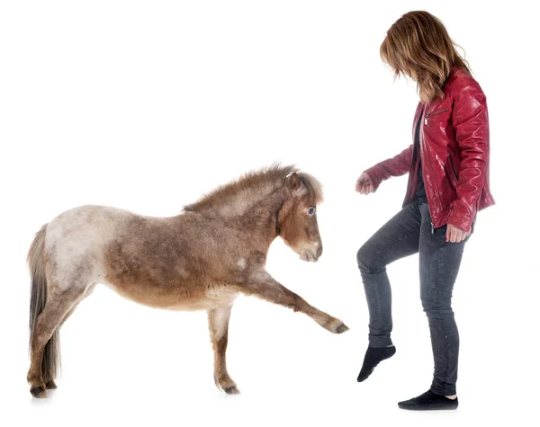Falabella miniaturowa konia i dziewczyna — Zdjęcie stockowe