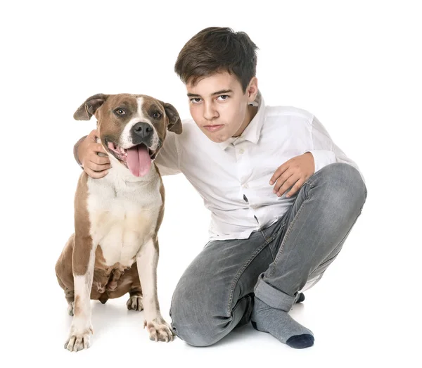 Americano staffordshire terrier e adolescente — Foto Stock