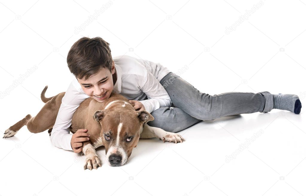 american staffordshire terrier and teen