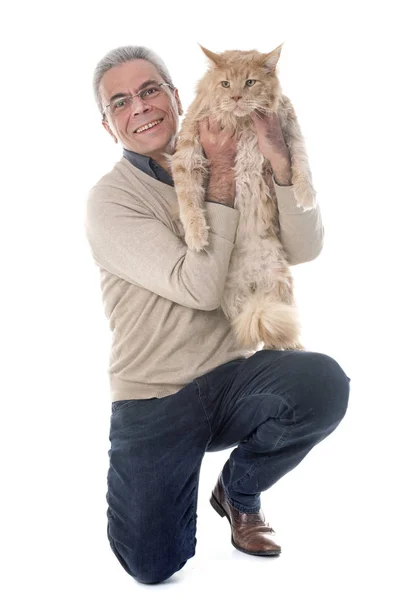メインあらいくま猫と人間 — ストック写真