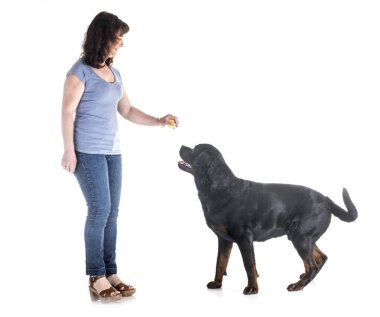 köpek ve beyaz arka plan önünde sahibi