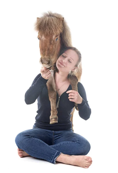 Falabella Caballo Niña Miniatura Delante Fondo Blanco —  Fotos de Stock