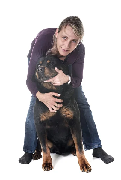 Volwassen Rottweiler Vrouw Voor Witte Achtergrond — Stockfoto