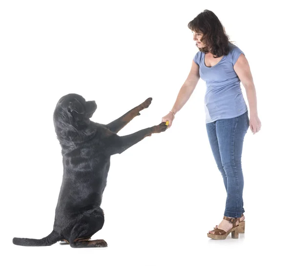 Hund Und Herrchen Vor Weißem Hintergrund — Stockfoto