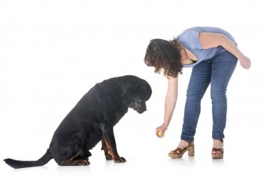 köpek ve beyaz arka plan önünde sahibi