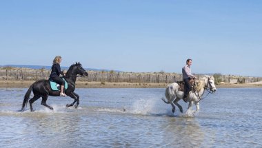kadın ve adam onu aygır ile sahilde sürme