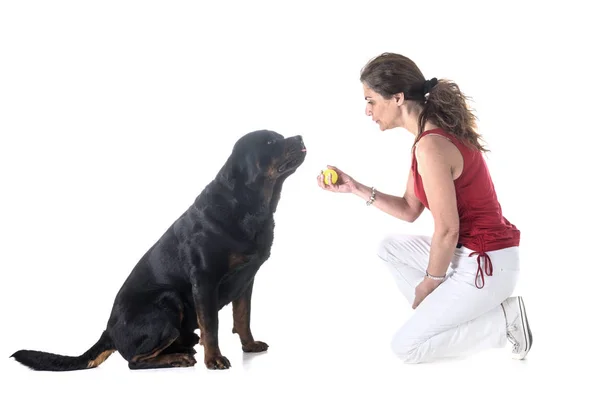 Perro Propietario Delante Fondo Blanco — Foto de Stock