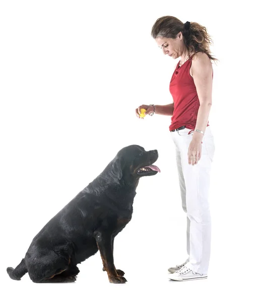 Hund Und Herrchen Vor Weißem Hintergrund — Stockfoto