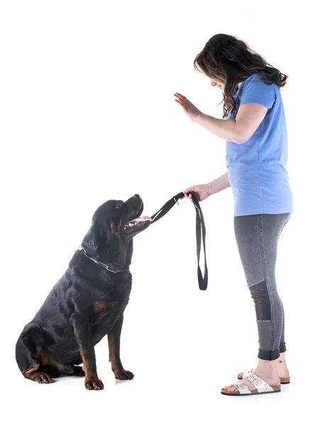 Chien Propriétaire Devant Fond Blanc — Photo