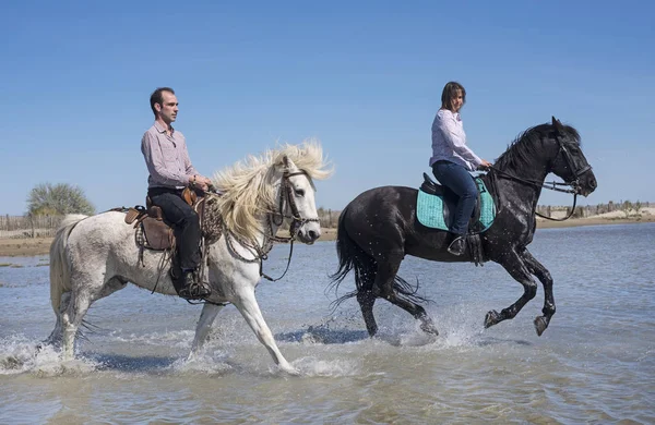 Mulher Homem Montando Com Seu Garanhão Praia — Fotografia de Stock