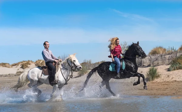 女と男がビーチで彼女の種馬に乗って — ストック写真
