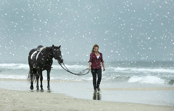 Jezdecká dívka a kůň v zimě — Stock fotografie