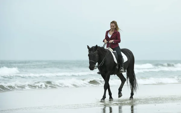 Equitação menina e cavalo — Fotografia de Stock