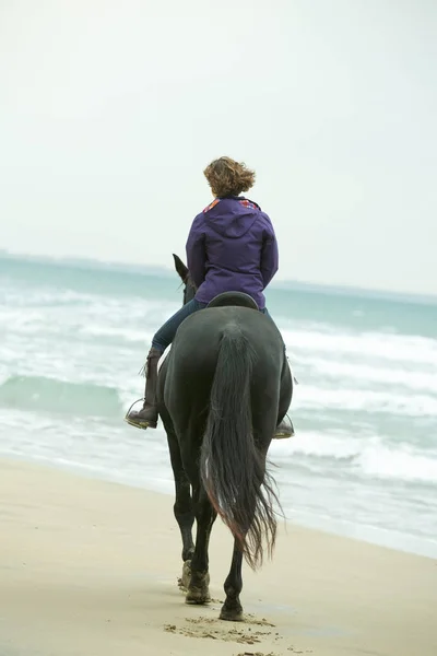 Ιππασία κορίτσι και άλογο — Φωτογραφία Αρχείου