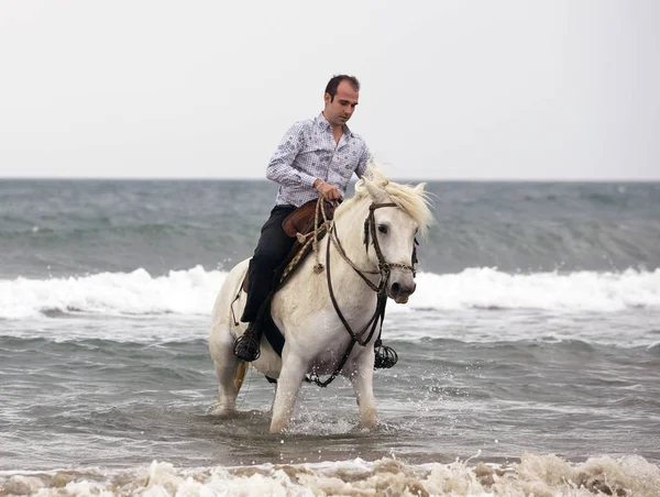 Jezdecký muž a kůň — Stock fotografie