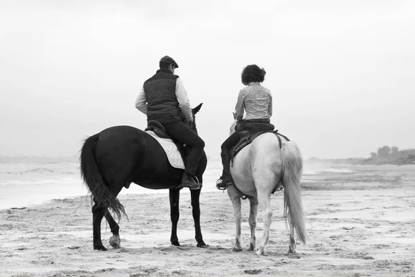 Riders and horses — Stock Photo, Image