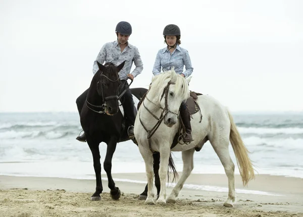 Riders and horses — Stock Photo, Image