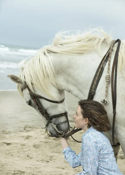 Equitazione ragazza e cavallo — Foto Stock
