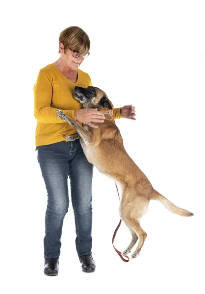 Malinois ve kadın — Stok fotoğraf