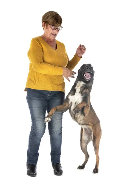 Malinois e mulher — Fotografia de Stock