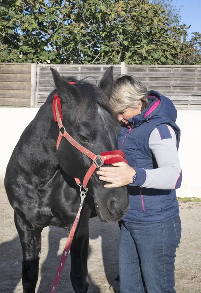 Osteopata e cavalo — Fotografia de Stock