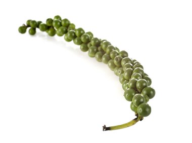 Stüdyoda yeşil biber