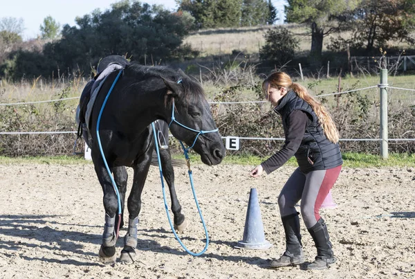 Equitação menina e cavalo — Fotografia de Stock