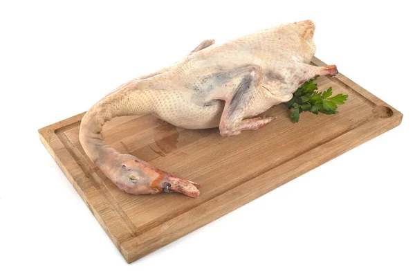Duck meat in studio — Stock Photo, Image