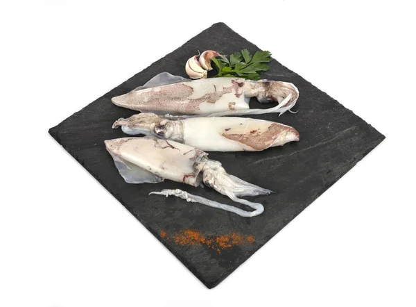 Raw squid in studio — Stock Photo, Image