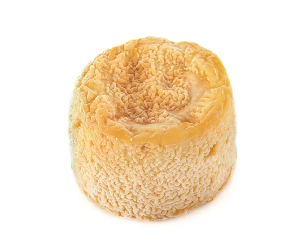 Queijo Langres no estúdio — Fotografia de Stock