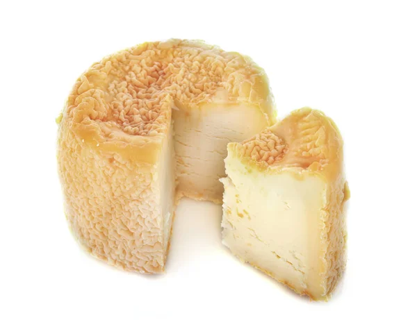 Langres cheese in studio — 스톡 사진