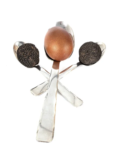 Cioccolato Melanosporum Uova Davanti Allo Sfondo Bianco — Foto Stock
