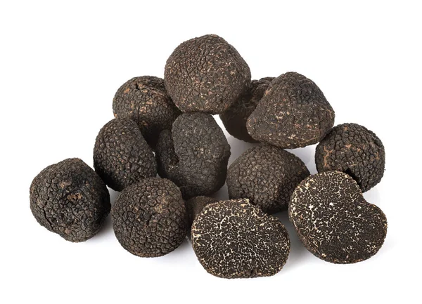 Tuber Melanosporum Front White Background — Stock Photo, Image