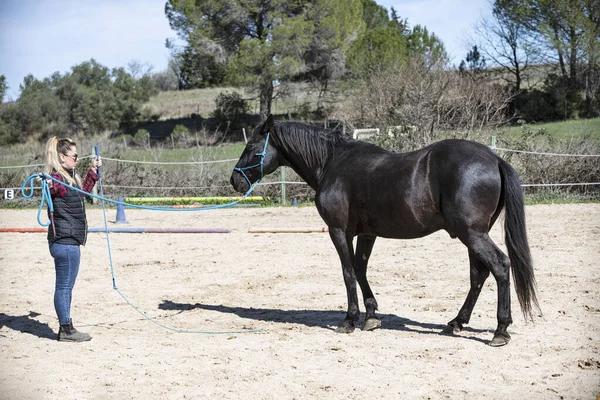 Equitazione Ragazza Sono Formazione Suo Nero Cavallo — Foto Stock