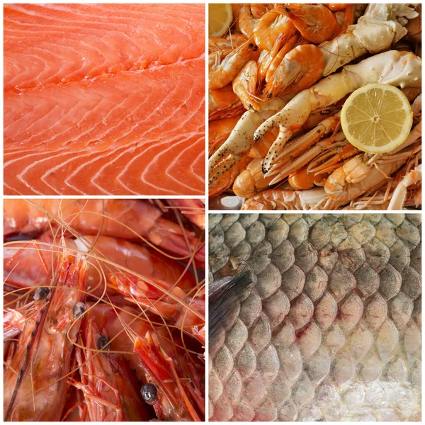 Composite Picture Seafood Front White Background — Stock Photo, Image