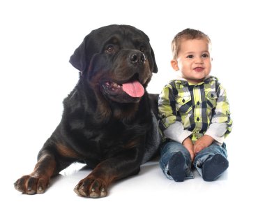Küçük çocuk ve Rottweiler beyaz arka planın önünde.