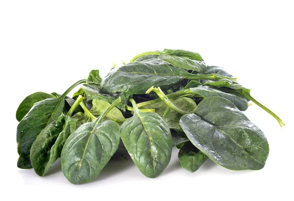 Raw Spinach Front White Background — Stock Photo, Image