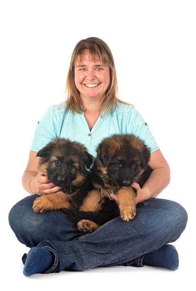 Pups Duits Herder Vrouw Voorkant Van Witte Achtergrond — Stockfoto