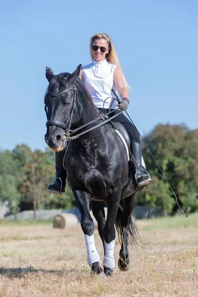 Κορίτσι Ιππασίας Εκπαιδεύει Μαύρο Άλογό Της — Φωτογραφία Αρχείου