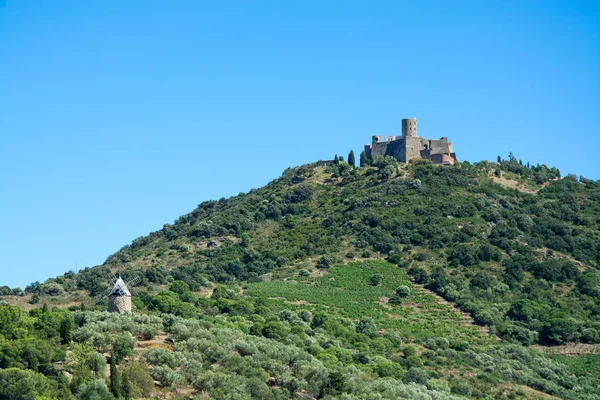 Fort Saint-Elme, Collioure — стокове фото