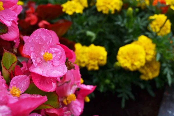 Portfolio: mijo69 | Stock Photos, Illustrations and Vector Art | Depositphotos®