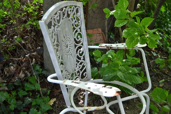 Uma Velha Cadeira Metal — Fotografia de Stock
