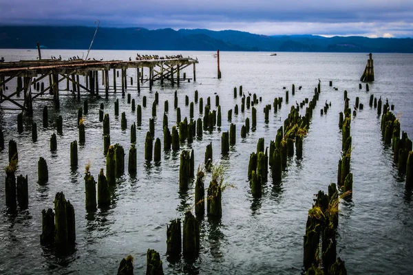 Antiguo Muelle Descomposición Soporta Desaparecer Océano Atardecer —  Fotos de Stock