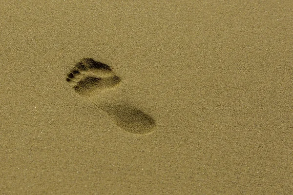 Ίχνη στην άμμο — Φωτογραφία Αρχείου