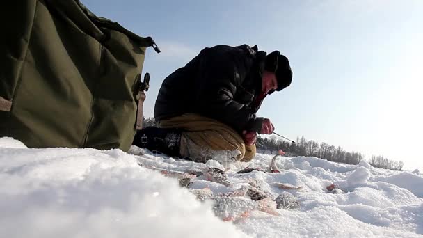 Pêche hivernale sur glace de rivière — Video