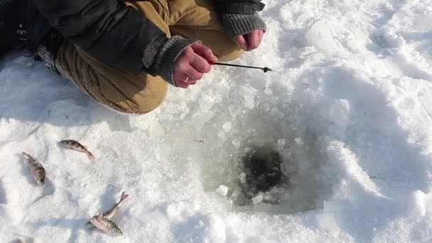 Зимова риболовля на річковому льоду — стокове відео