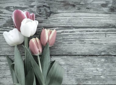 Lale grup dark barn ahşap plakalar arka plan üzerinde