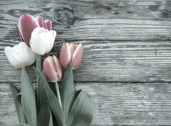 Lale grup dark barn ahşap plakalar arka plan üzerinde