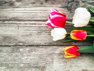 Lale grup dark barn ahşap plakalar arka plan üzerinde